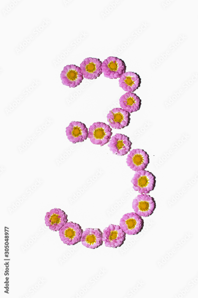 Chrysanthemum Alphabet