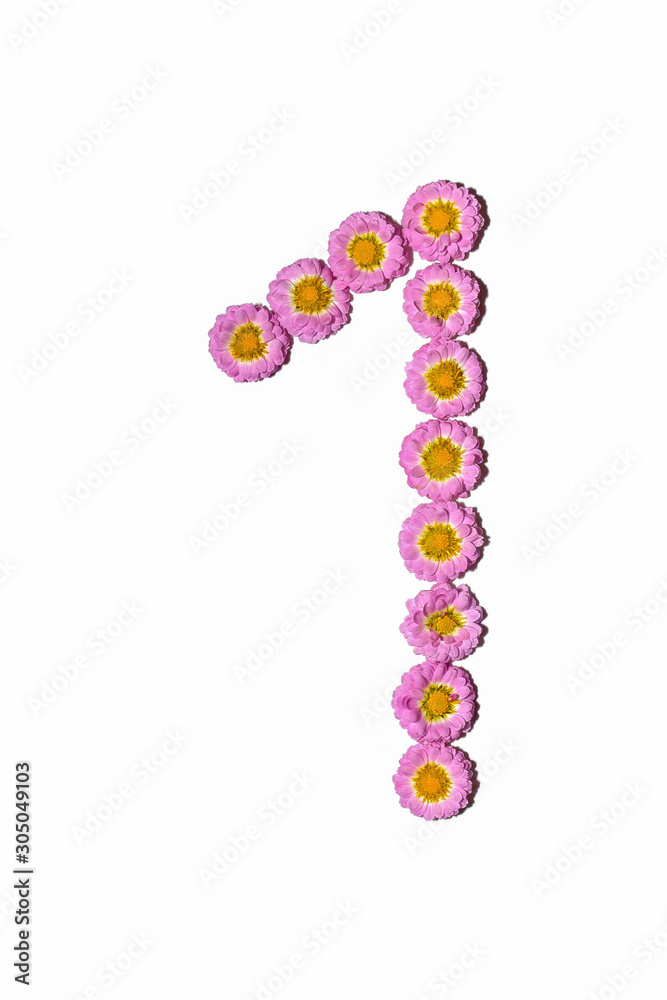 Chrysanthemum Alphabet Chrysanthemum Alphabet