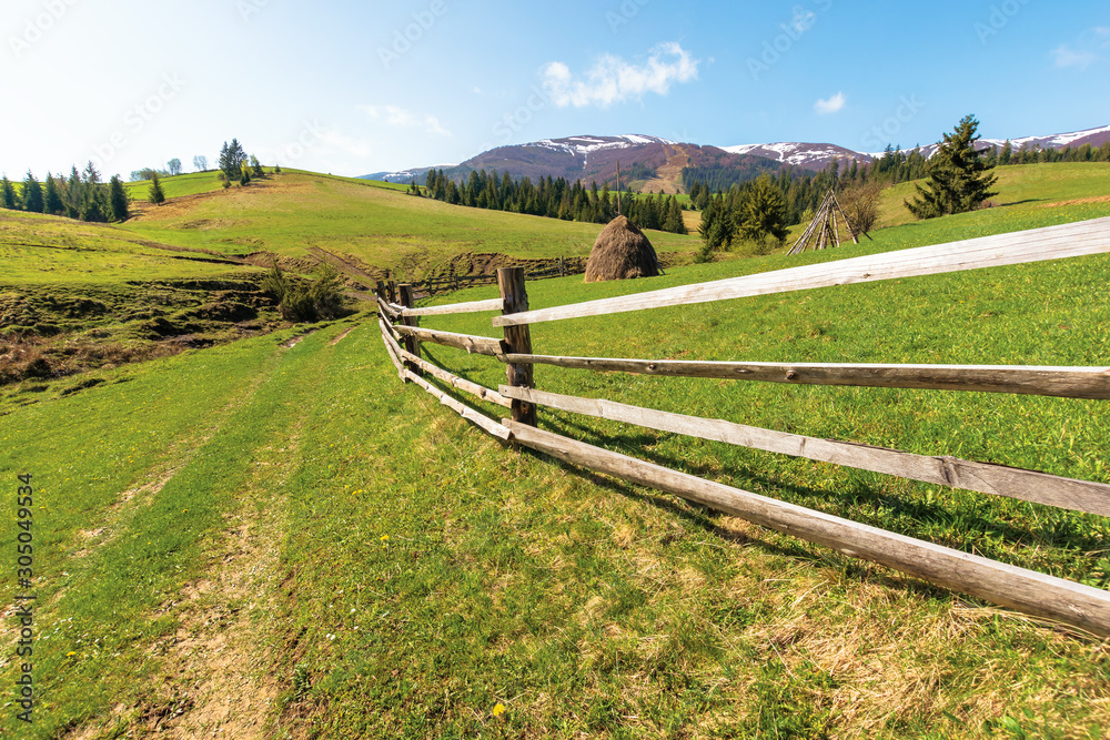 transcarpathian country landscape in springtime. haystack behind the wooden fence on the grassy meadow. spruce forest on hills rolling in to the distant mountain. borzhava ridge with snow capped tops