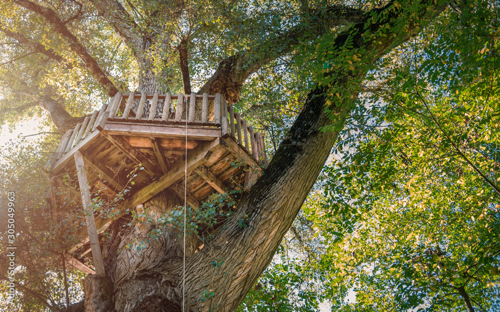 Old wooden tree house in the forest.