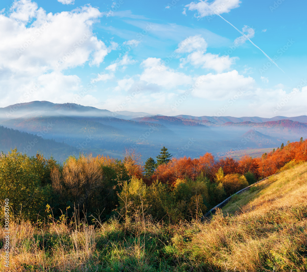 wonderful autumn morning in mountains. misty atmosphere with clouds on the sky. trees on the hillside in fall foliage. weathered grass on the slopes. fog rising from the distant valley