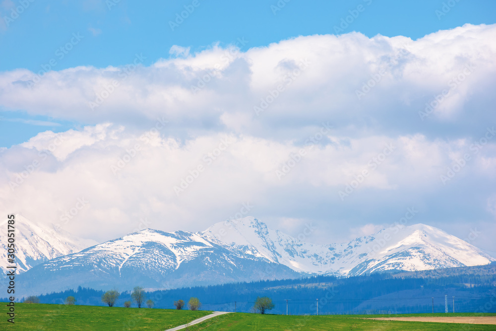 snow capped western high tatras ridge in springtime. beautiful sunny weather with clouds on a blue sky. green grassy hill on the foreground of a landscape. idyllic scenery of slovakia