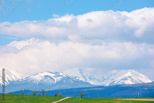 snow capped western high tatras ridge in springtime. beautiful sunny weather with clouds on a blue sky. green grassy hill on the foreground of a landscape. idyllic scenery of slovakia