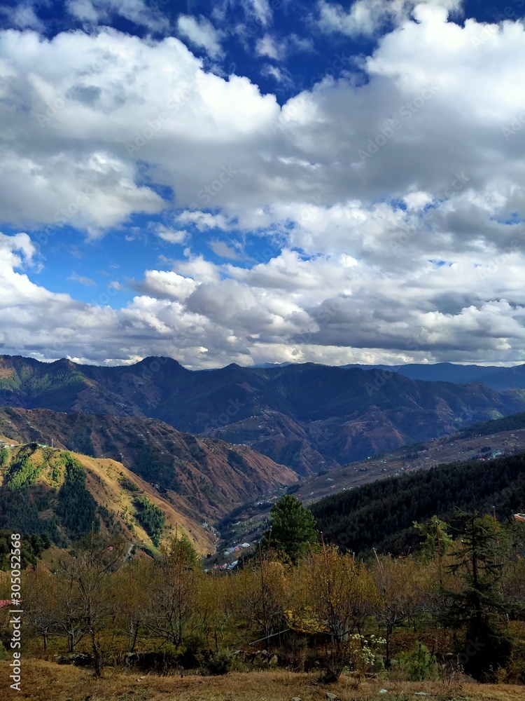 Himalayan forest and out door view