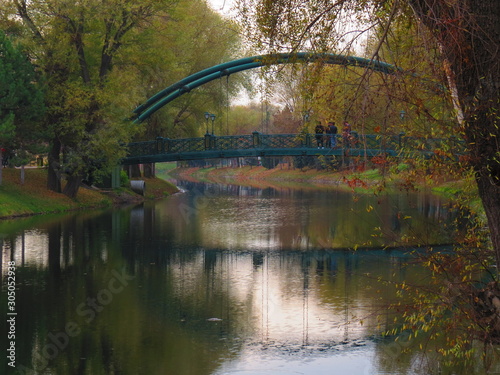 bridge over the river