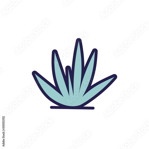 bush plant nature isolated icon