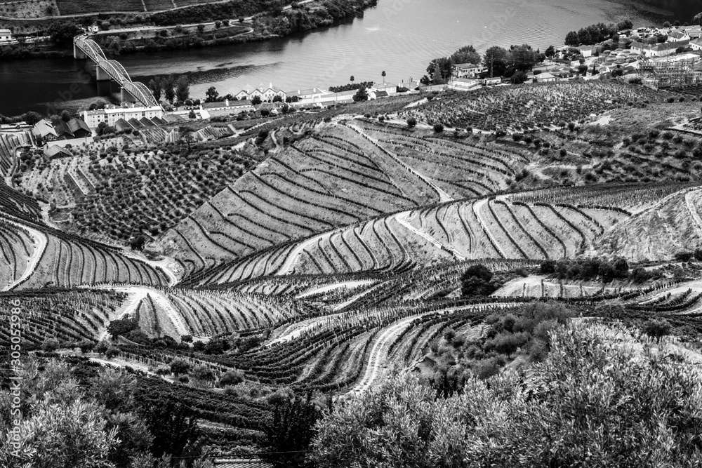 Fototapeta premium Valle del Douro, Portogallo