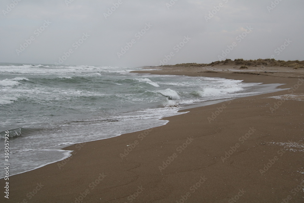 beach and sea