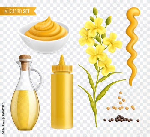 Mustard Transparent Realistic Set