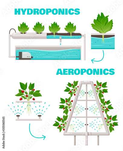 Hydroponics And Aeroponics Concept