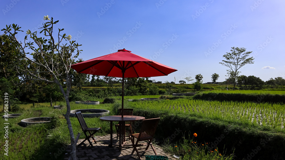 views of rice fields and chairs during the day