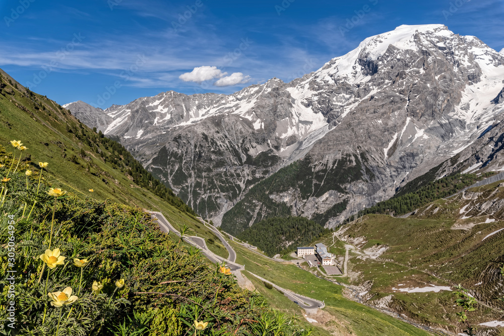 Ortler