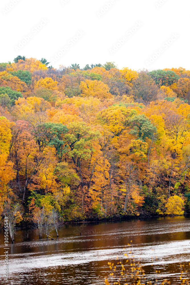 Colorful trees in October next to a lake