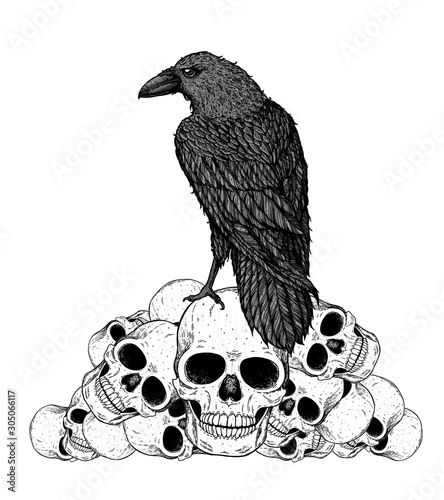Black raven sits on the skulls. Skull and raven hand drawn illustration. Tattoo vintage print. Skull hand drawn print. Tattoo design. Pile of skulls and raven.
