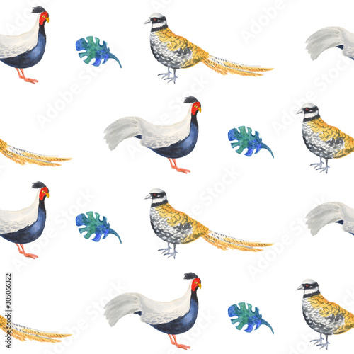Watercolor seamless pattern - sketch of colorful pheasant. Original white background.  For decoration and design.