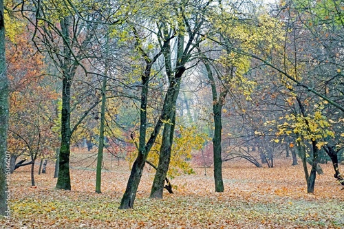 Golden autumn. A warm October day in a city park. Horizontal shot.