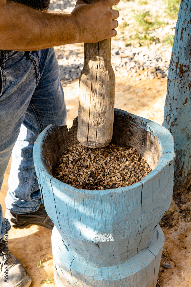 Cuba: Man Preparing to hand grind coffee bean in a old wooden mortar. Cuba: Man Preparing to hand grind coffee bean in a old wooden mortar.