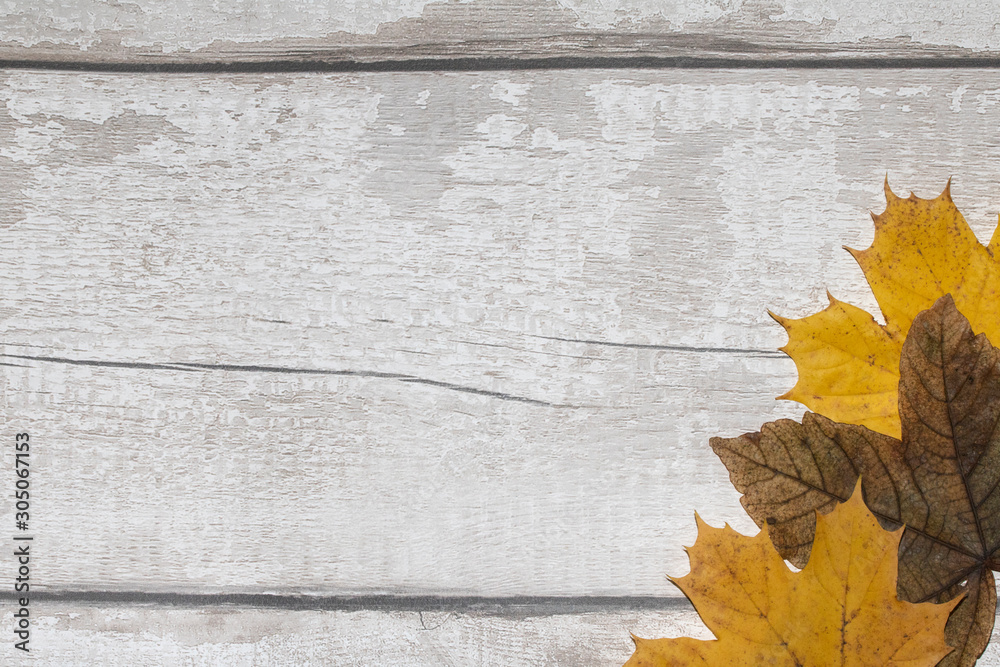 Autumn and Winter Leaves on a Wooden Floor Background Autumn and Winter Leaves on a Wooden Floor Background
