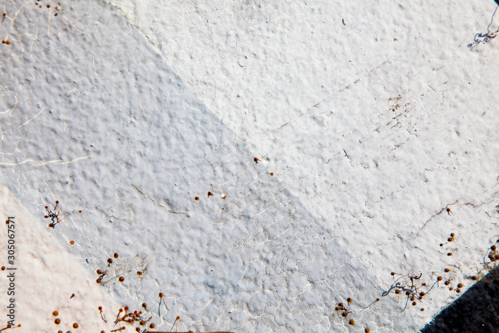 A background image that can be used for various. an old painting. A background image that can be used for various. an old painting.
