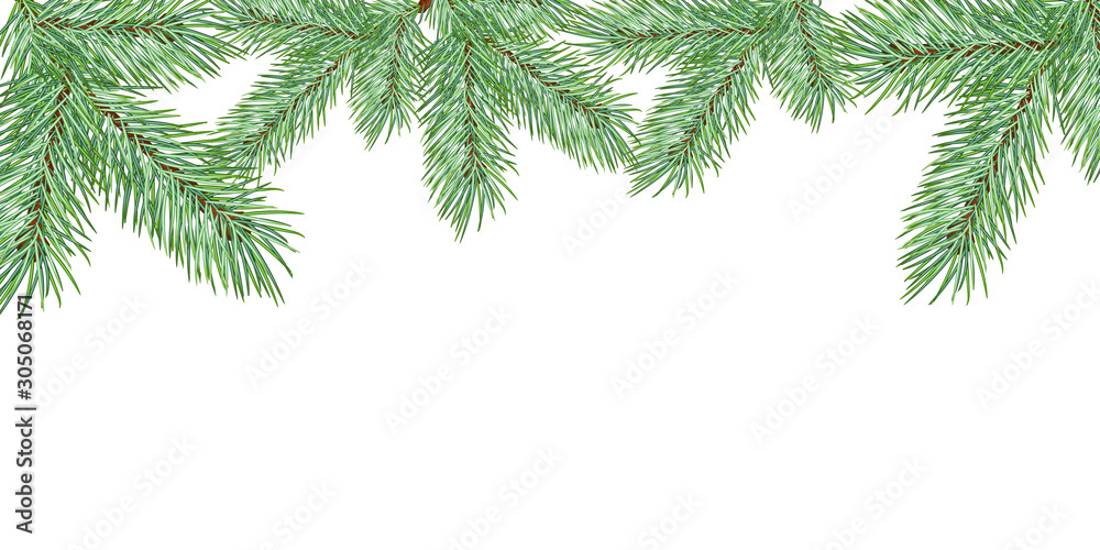Christmas tree branch. Frame for New Year greeting cards and web sites. Vector illustration.