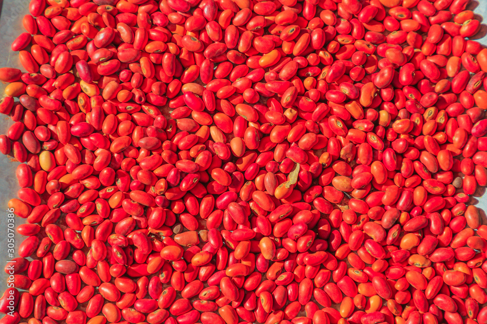 Sandalwood seed. Australia bush food eaten by Australian s and used for indigenous craftsmanship to make necklaces and bracelets. Australian outback, Northern Territory, Australia. Sandalwood seed. Australia bush food eaten by Australian s and used for indigenous craftsmanship to make necklaces and bracelets. Australian outback, Northern Territory, Australia.