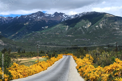 Landstraße mit Ginster bei Bariloche, Provinz Rio Negro, Patagonien/ Argentinien photo
