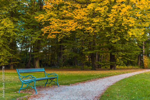 Colorful and vivid autumn colors and bright blue sky in the park