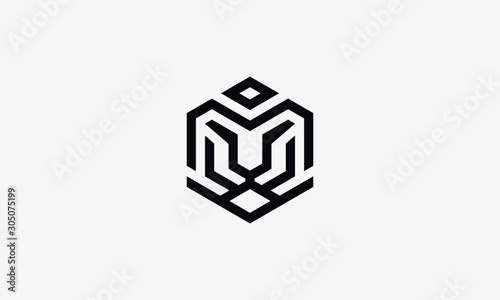 Tiger abstract logo template. Line art - vector