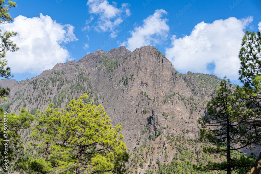 Volcanic landscape and pine forest at astronomy viewpoint Llanos del Jable, La Palma, Canary Islands, Spain