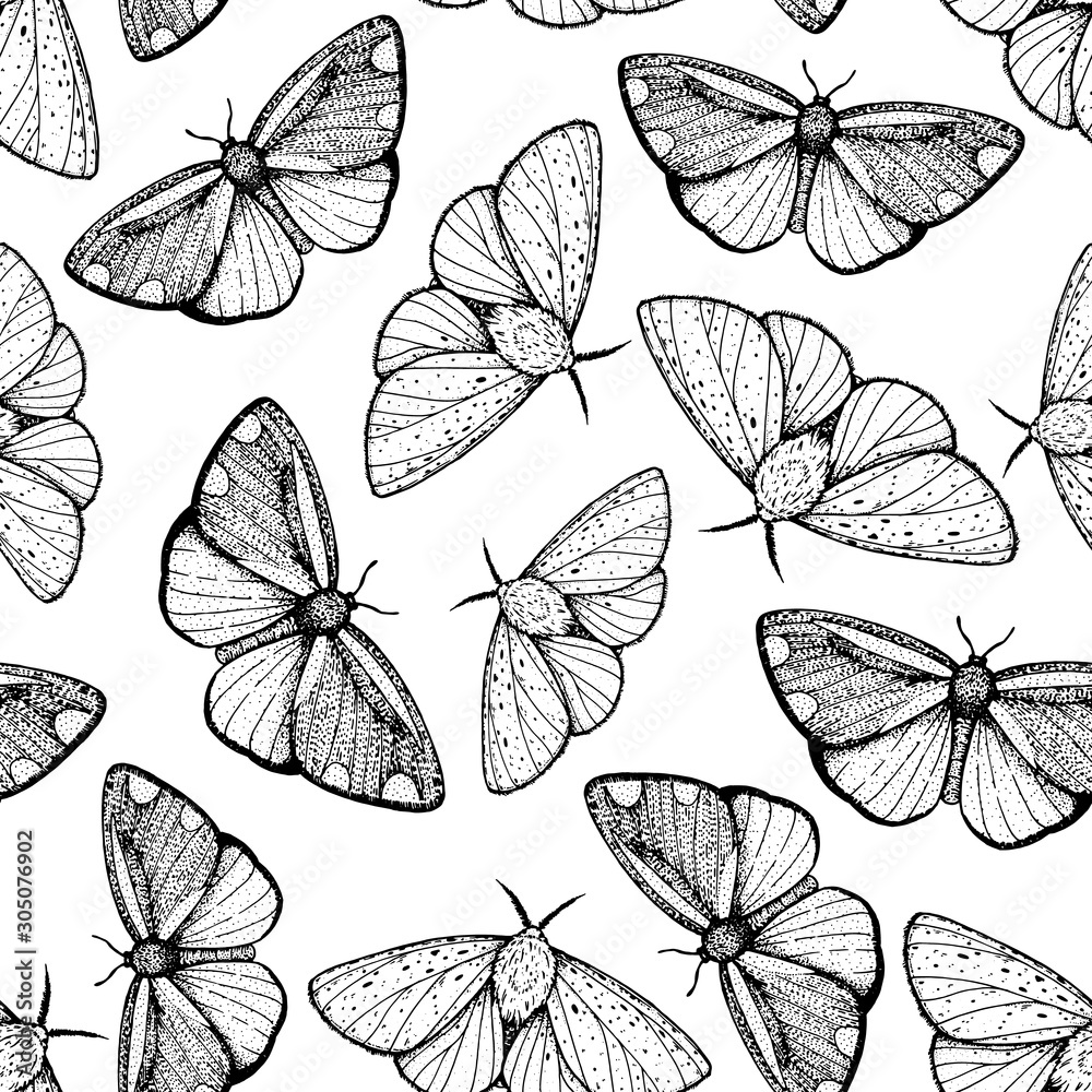 Butterfly sketch seamless pattern. Fabric design. Hand drawn vector illustration. Butterfly vintage background. Cinnabar moth seamless pattern