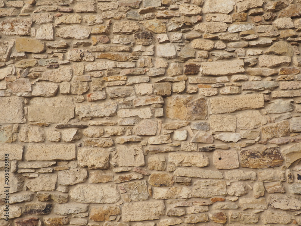 Laying. Wall. Natural stone. Crimean gerbil.