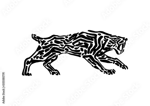 Sabre-toothed tiger animal decorative vector illustration painted by ink, hand drawn grunge cave painting, black isolated silhouette on white background