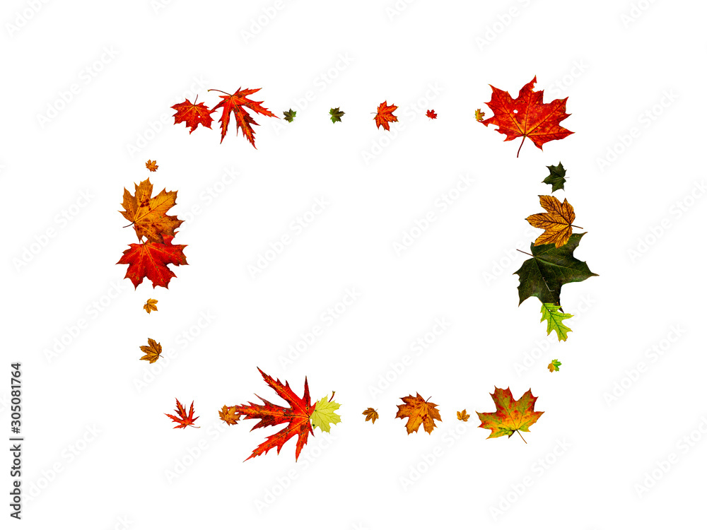 Autumn leaves white background. Falling November pattern. Thanksgiving season concept Autumn leaves white background. Falling November pattern. Thanksgiving season concept