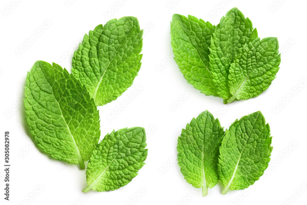 Set of delicious mint leaves, isolated on white background Set of delicious mint leaves, isolated on white background
