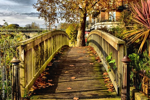 bridge in the park