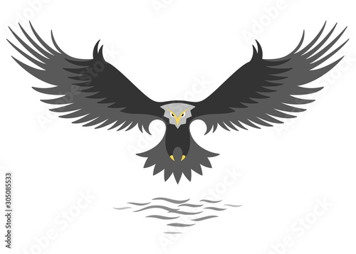 Modern simple eagle logo design, stylized graphic eagle, flying above the water,isolated on the white background.