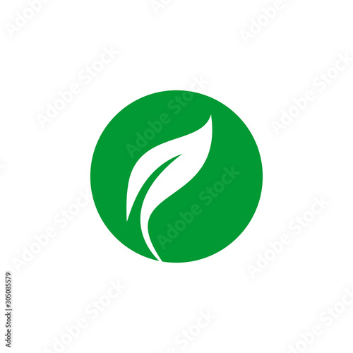 Natural leaf Modern Alphabet Green Logo Vector Design. Organic Leaf Circle Green Logo.