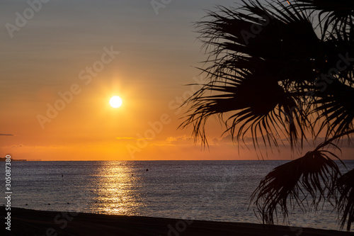 Orange sunrise above the sea a palm tree and a beach at the foreground. Sun shines and the solar path is reflected from water.