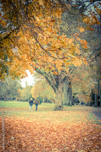 Senior Couple Walking Through Autumn Woodland