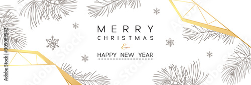 Winter holidays or Christmas background with branches and snowflakes.