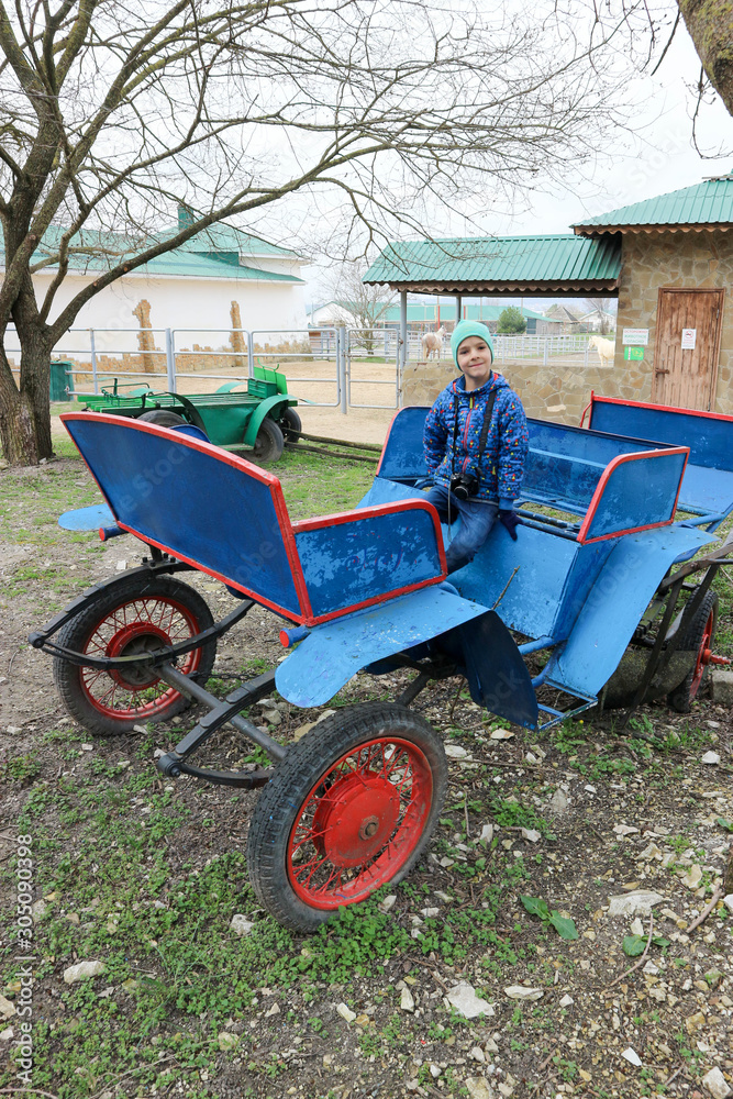 Young tourist boy sitting on a dray in park