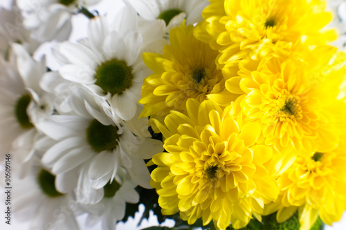 Close ups of yellow and white flowers