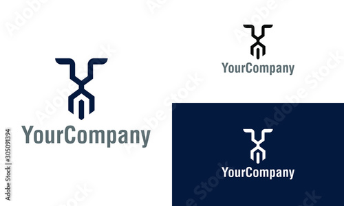 Lion face logo design template. Simple minimalist template graphic illustration. Creative vector emblem, for icon or design concept.