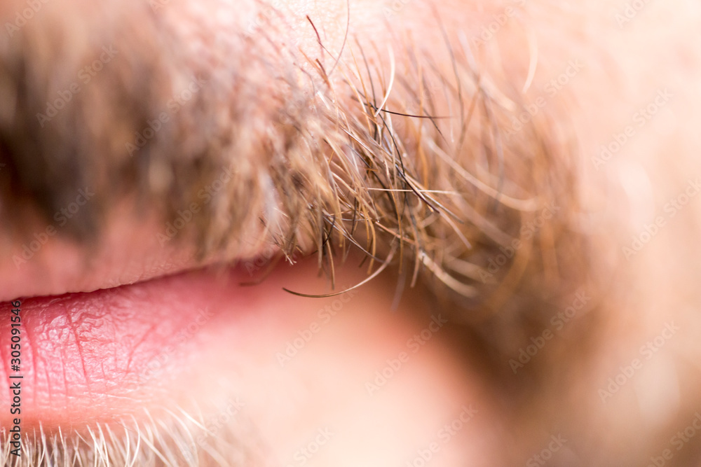 Macro, mouth and mustache Macro, mouth and mustache