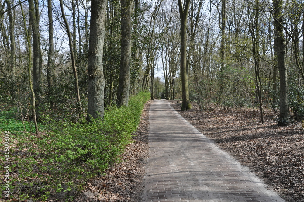 Obraz premium Nature picture