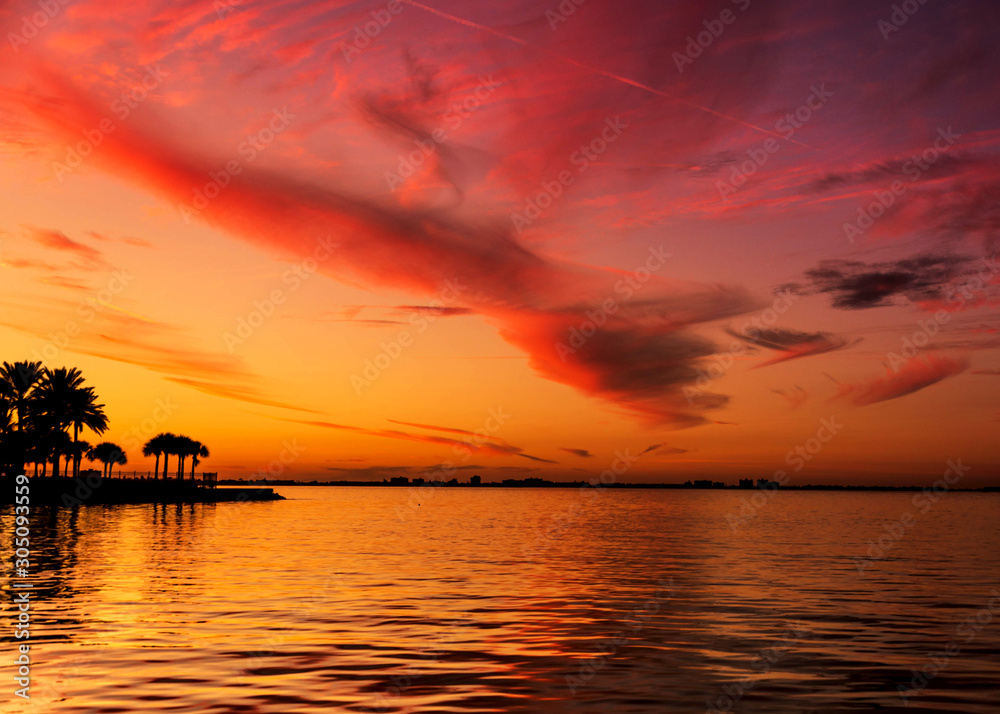 Sunset palm tree beautiful florida coast sunset