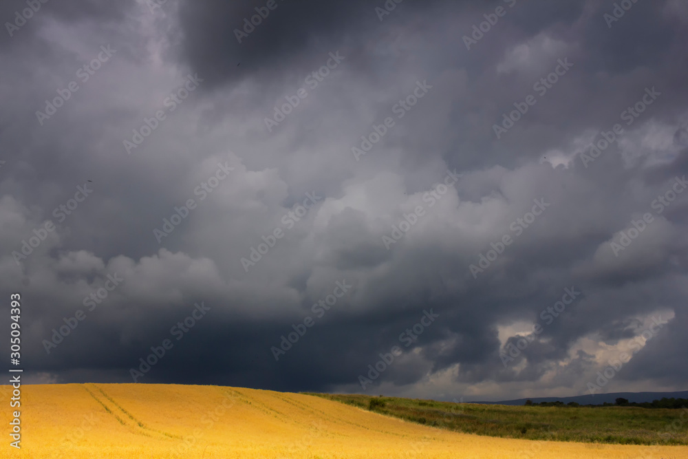 An approaching storm in summer over a Scottish Rapeseed farm An approaching storm in summer over a Scottish Rapeseed farm