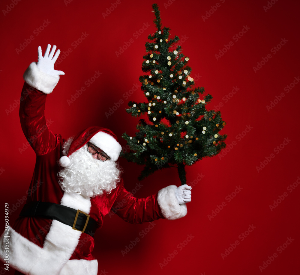 Big-bellied fat Santa Claus carrying a heavy Christmas tree on a red background. New year and merry christmas and happy holidays concept Big-bellied fat Santa Claus carrying a heavy Christmas tree on a red background. New year and merry christmas and happy holidays concept