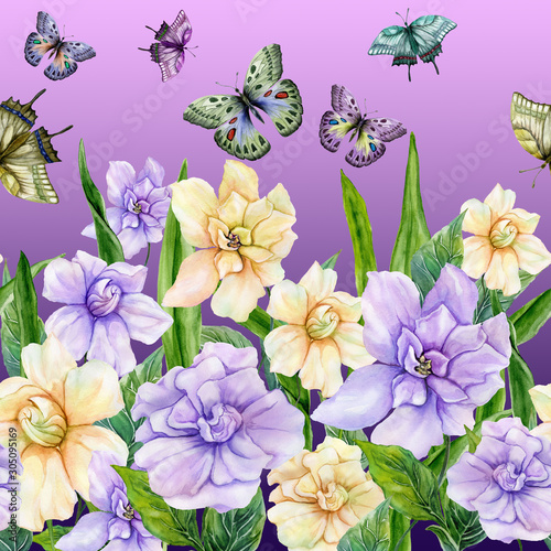 Beautiful gardenia flowers and colorful butterflies on purple background. Sea...