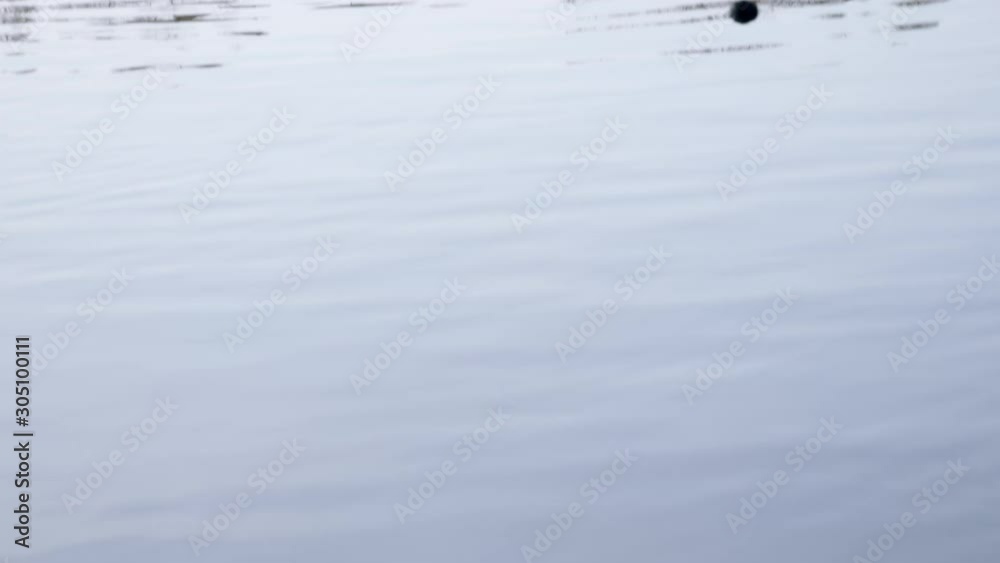 Panorama of the lake from the bottom up with the change of focal distance Panorama of the lake from the bottom up with the change of focal distance